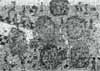 PAMI�TKA Z NOWEJ HUTY, RYSUNEK, 100x70, 1997