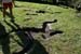 img_7835
