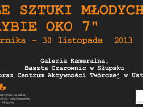 Rybie oko 7