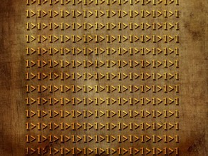 Maryam Mohammed Hassan “The Bewildered Masses”