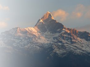 Galeria Jednego Dnia