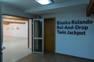 Read more about the article BIANKA ROLANDO / ROL-AND-DROP TWIN JACKPOT / CAT