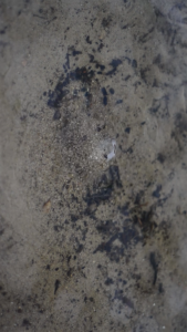Read more about the article Paulina Kawalec / Continuum Kontemplacji / GALERIA JEDNEGO DNIA