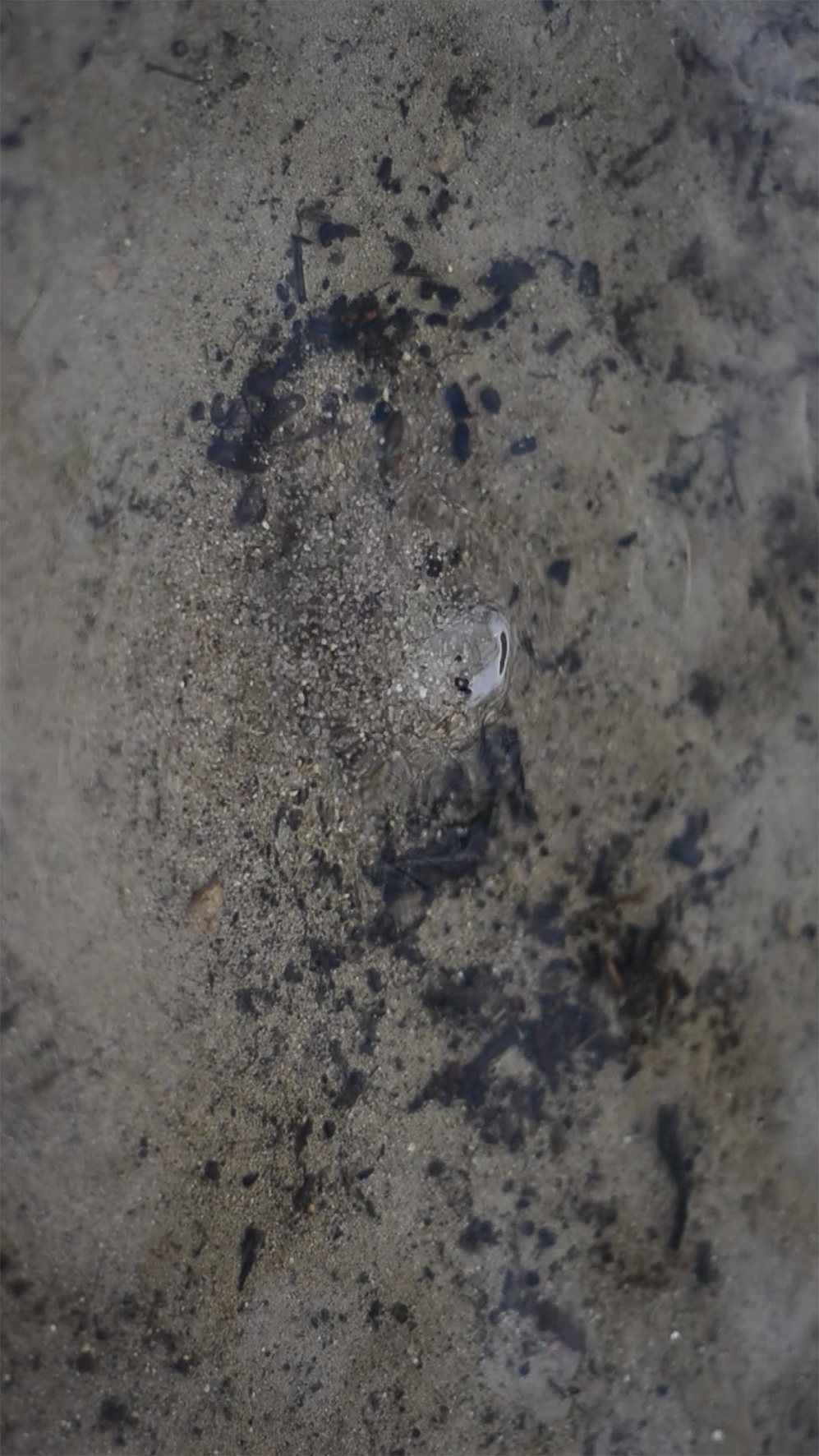 You are currently viewing Paulina Kawalec / Continuum Kontemplacji / GALERIA JEDNEGO DNIA