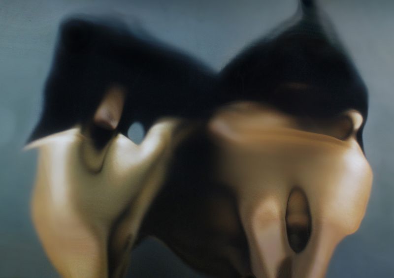 Read more about the article Bartłomiej Otocki „Archiwum otwarte”