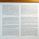 Human (3)