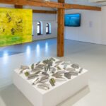 Yuriy Bolsa (6)