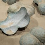 Plaża żeńska_wystawa (39)