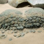 Plaża żeńska_wystawa (44)