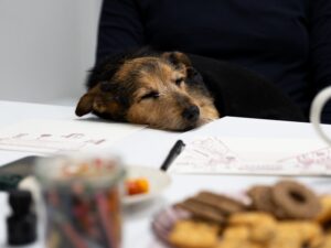 1 warszaty Stałe, niestałe, foto Tomasz Giczewski (7)
