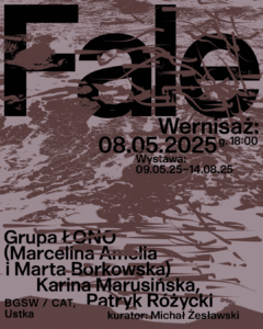 Read more about the article Grupa ŁONO (Marcelina Amelia & Marta Borkowska) Karina Marusińska Patryk Różycki / FALE / wystawa