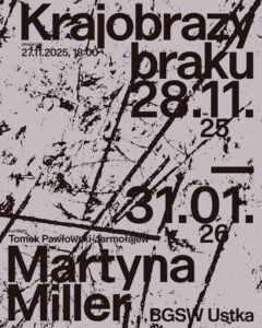 Read more about the article Krajobrazy braku / wystawa