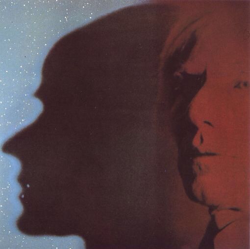 Andy Warhol Shadow (1)