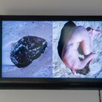 Plaża żeńska_wystawa (30)